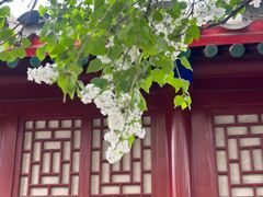 -北京鲁迅博物馆(北京新文化运动纪念馆鲁博馆区)