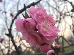 -玲珑塔公园