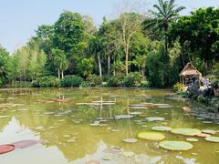 -中国科学院西双版纳热带植物园
