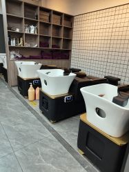 点击看大图 -藤野造型