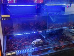 -虾铺子龙虾·私房菜(金源花苑店)