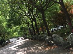 -安飞驰驾校·学车连锁(金高店)