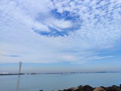 -上海吴淞炮台湾国家湿地公园