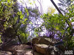 -藏龙百瀑风景区