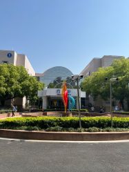 -上海交通大学医学院附属上海儿童医学中心(陆家嘴总院区)