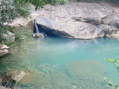 -广州白江湖森林公园