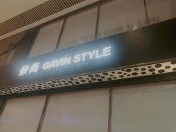 -崇尚GAVIN STYLE臻选