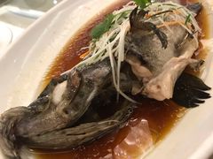 -骏莱海鲜鱼港(五角场店)
