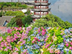 -金庸书院