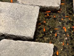 -邈墨茶馆(凤起路店)