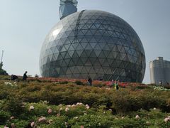 -陕西自然博物馆