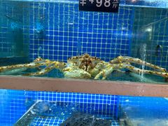 -金龙·打边炉(南京西路店)