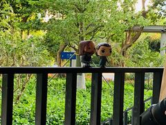 -星巴克(深圳侨城街店)