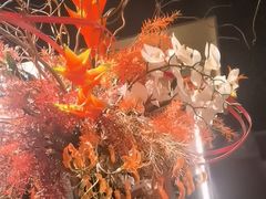 -知楚•精致湖北菜(武商MALL店)