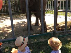 -西安秦岭野生动物园