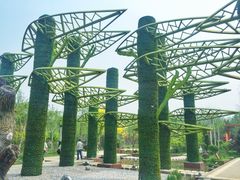 -武清南湖绿博园