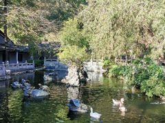 -国恩寺