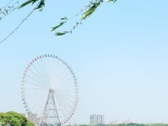 -无锡蠡湖国家湿地公园-蠡园