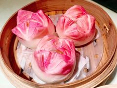 -点都德·毕德寮