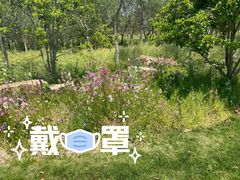 景点-自然谷恐龙园