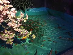 -常州海昌海洋探索馆