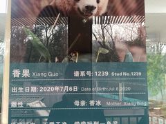 -宋宴(虎跑店)