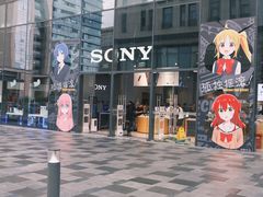 -Sony Store索尼(深圳深业上城店)