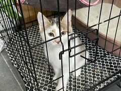 -王裕興肉莊(南禅寺店)