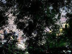 -板樟山森林公园