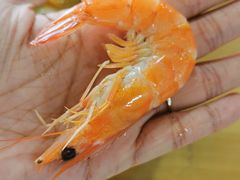 -田源农家饭店·窑鸡王·海鲜(东部湾·融创店)