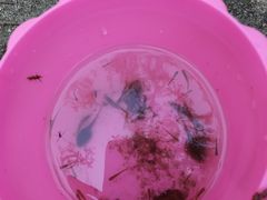 -碓臼峪自然风景区