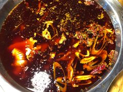 -金鼎雪山牦牛杂火锅(理县总店)