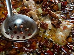 -青岛锅贴(四流中路店)