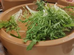 苦菊-龍歌自助小火锅(城阳万象汇店)