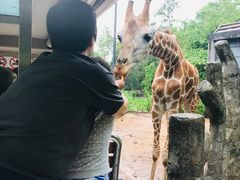 -清迈夜间动物园