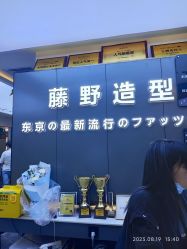 点击看大图 -藤野造型