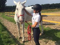 教练-月河湾马术俱乐部(朝阳店)