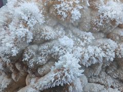 -湖南省地质博物馆