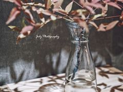 -red donkey coffee