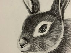 -东方童画少儿美术(莘庄体验馆)