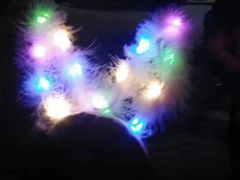 -锦江乐园舞狸花花游园会(夜场专享)
