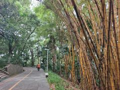 -中山公园(石岐街道)
