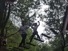 -梦幻奥陶纪景区