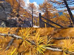 -光雾山旅游景区