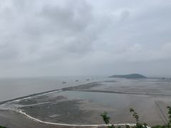 -洋山深水港