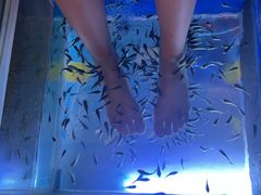 -汤连得温泉馆(宝山店)