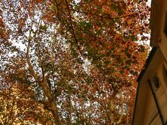 -常熟路(地铁站)