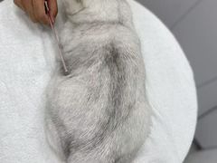 -comecome来吧宠物(奥克斯中心店)