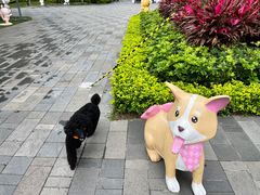 -星巴克(珠海仁恒滨海中心店)