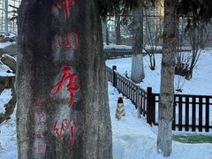 -横道河子东北虎林园